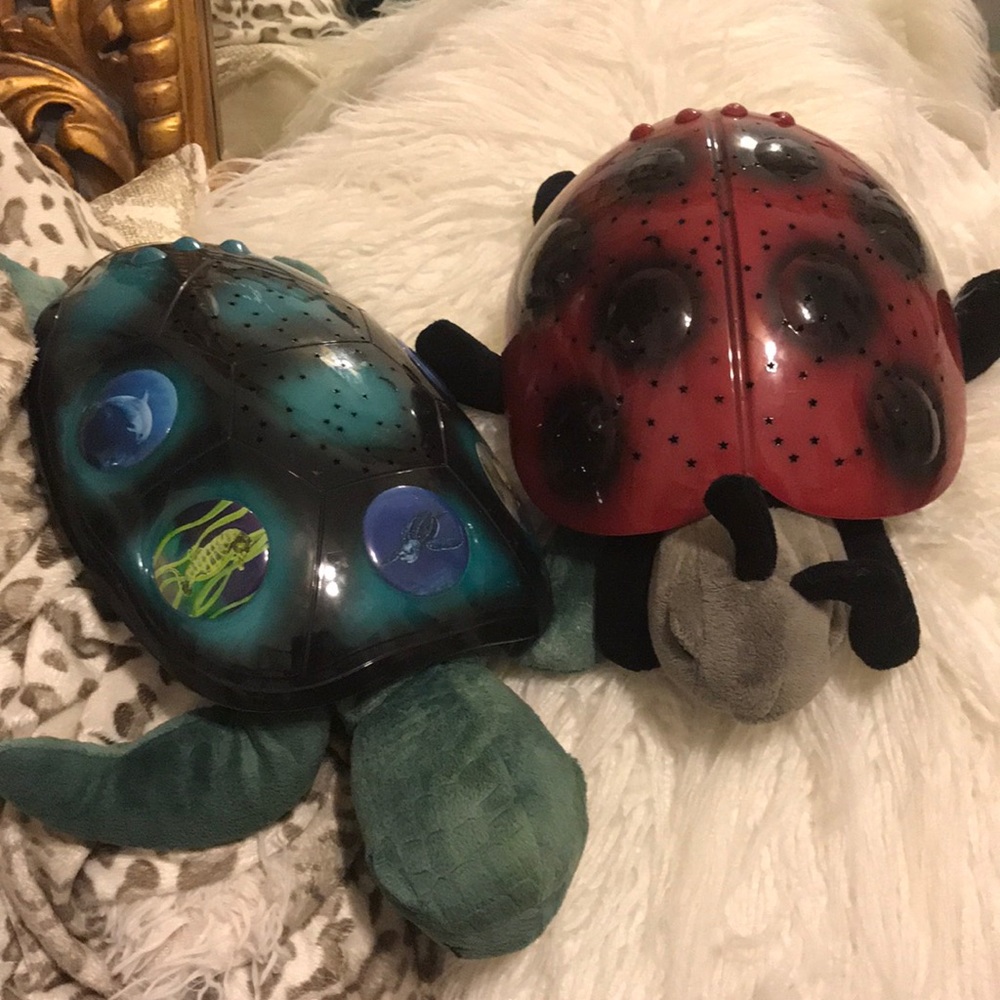 Starlight Turtle and ladybug